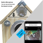Bird Watching Nesting Feeder Nest Cam Box with Camera | Make Your Garden Beautiful, Functional & the Envy of the Neighbourhood