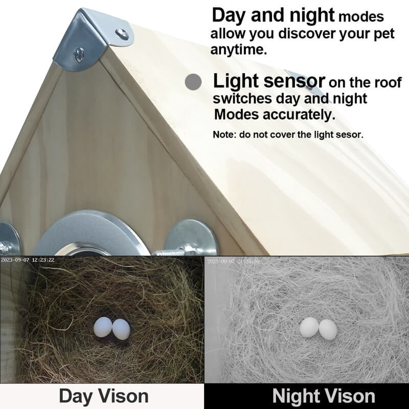Bird Watching Nesting Feeder Nest Cam Box with Camera | Make Your Garden Beautiful, Functional & the Envy of the Neighbourhood