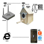 Bird Watching Nesting Feeder Nest Cam Box with Camera | Make Your Garden Beautiful, Functional & the Envy of the Neighbourhood