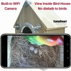 Bird Watching Nesting Feeder Nest Cam Box with Camera | Make Your Garden Beautiful, Functional & the Envy of the Neighbourhood