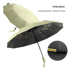 Eco-Friendly Windproof Umbrella | Stylish Home Essential That Transforms & Elevates Your Living Space