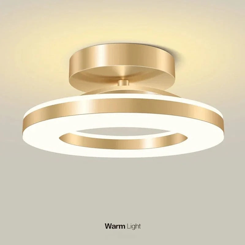 LED Ceiling Light Fixture | Compact, Stylish & Incredibly Useful — An Everyday Home Must-Have