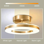 LED Ceiling Light Fixture | Compact, Stylish & Incredibly Useful — An Everyday Home Must-Have