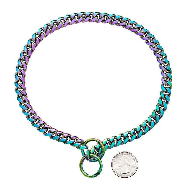Heavy-Duty Dog Collar | Durable Pet Accessory Built for Active, Playful, Energetic Pets