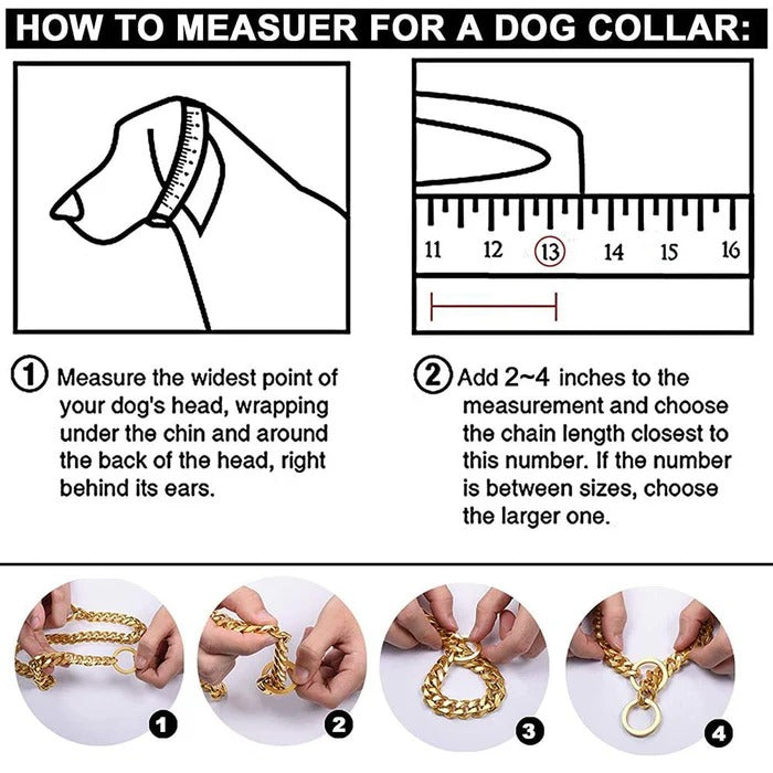 Heavy-Duty Dog Collar | Durable Pet Accessory Built for Active, Playful, Energetic Pets