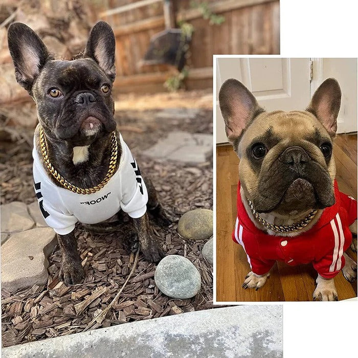 Heavy-Duty Dog Collar | Durable Pet Accessory Built for Active, Playful, Energetic Pets