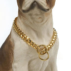 Heavy-Duty Dog Collar | Durable Pet Accessory Built for Active, Playful, Energetic Pets