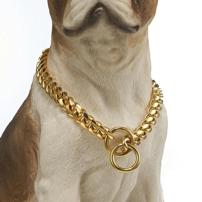 Heavy-Duty Dog Collar | Durable Pet Accessory Built for Active, Playful, Energetic Pets
