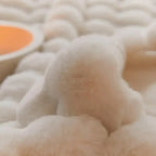 Multi-Season Blanket | Stylish Home Essential That Transforms & Elevates Your Living Space