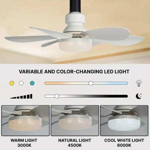 Ceiling-mounted fan | Stylish Home Essential That Transforms & Elevates Your Living Space
