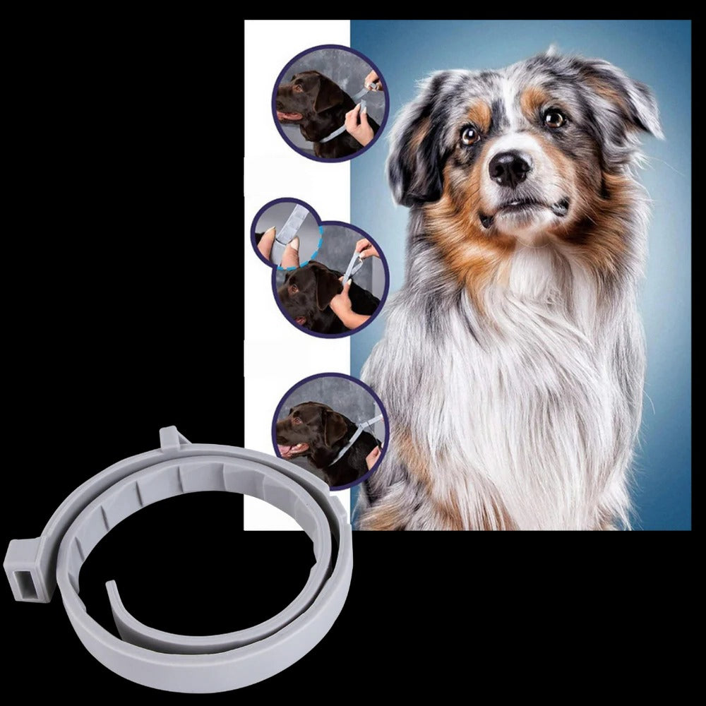 Parasite Repellent Pet Collar | Trusted by Pet Owners — Safe, Easy to Use & Built to Last