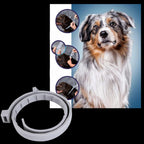 Parasite Repellent Pet Collar | Trusted by Pet Owners — Safe, Easy to Use & Built to Last