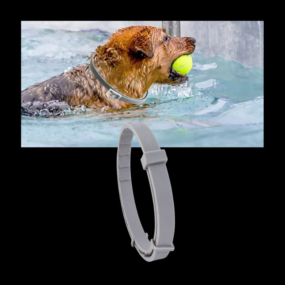 Parasite Repellent Pet Collar | Trusted by Pet Owners — Safe, Easy to Use & Built to Last