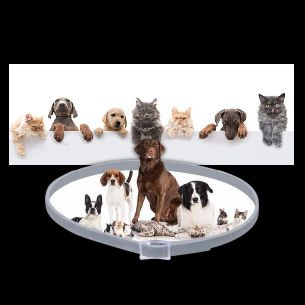 Parasite Repellent Pet Collar | Trusted by Pet Owners — Safe, Easy to Use & Built to Last