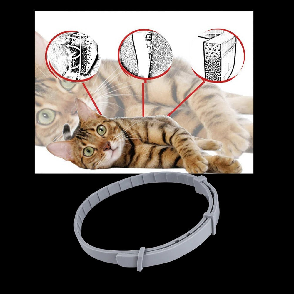 Parasite Repellent Pet Collar | Trusted by Pet Owners — Safe, Easy to Use & Built to Last