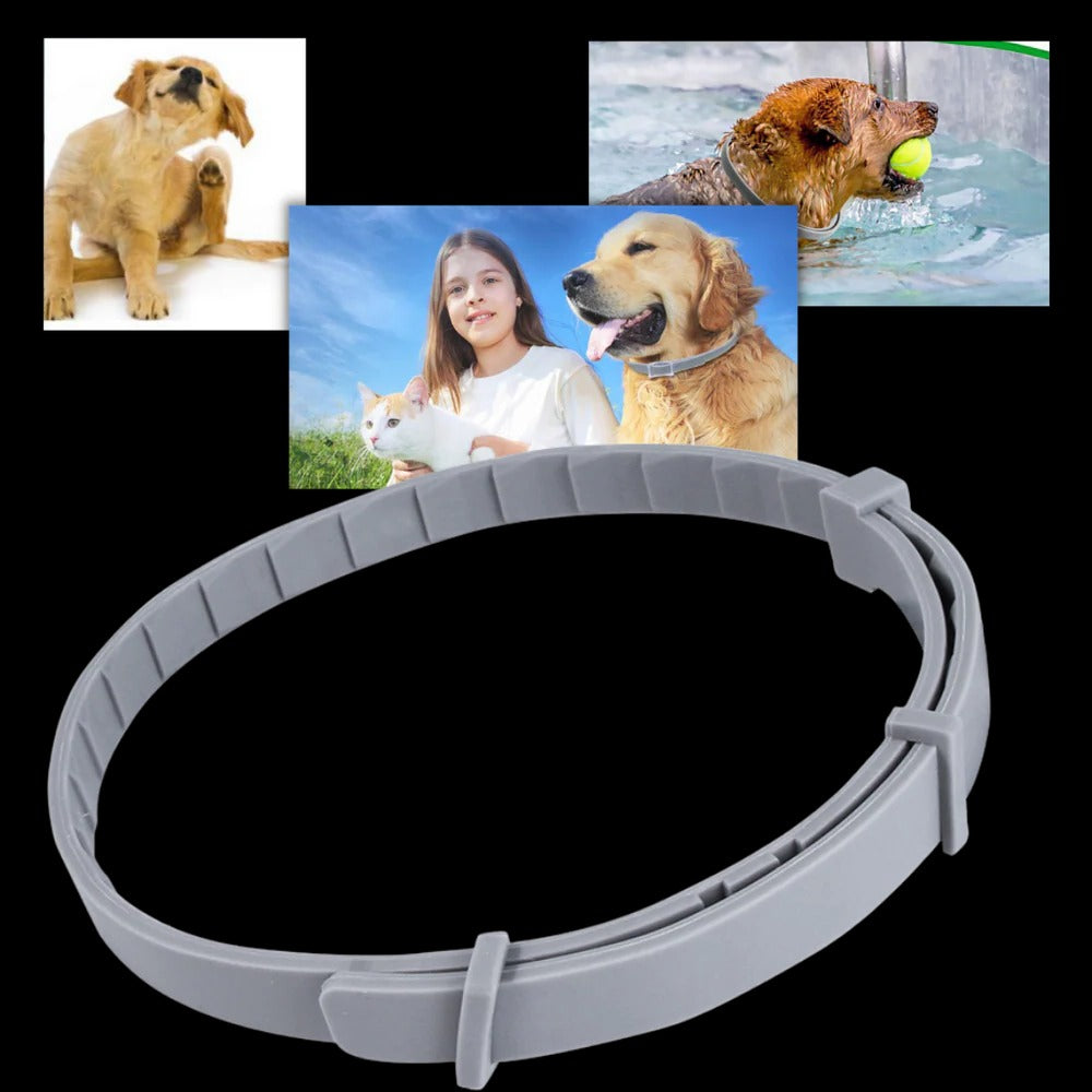 Parasite Repellent Pet Collar | Trusted by Pet Owners — Safe, Easy to Use & Built to Last