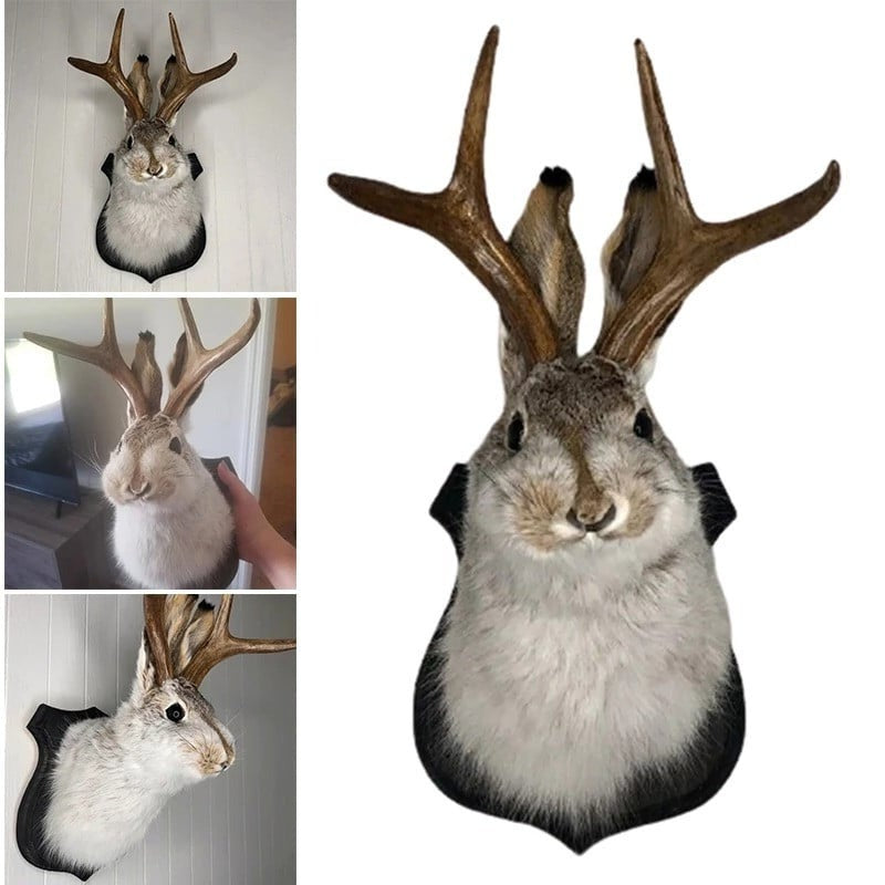 Jackalope Wall Decor | Effortlessly Functional Home Essential for Clean, Organised Living