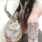 Jackalope Wall Decor | Effortlessly Functional Home Essential for Clean, Organised Living