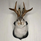 Jackalope Wall Decor | Effortlessly Functional Home Essential for Clean, Organised Living