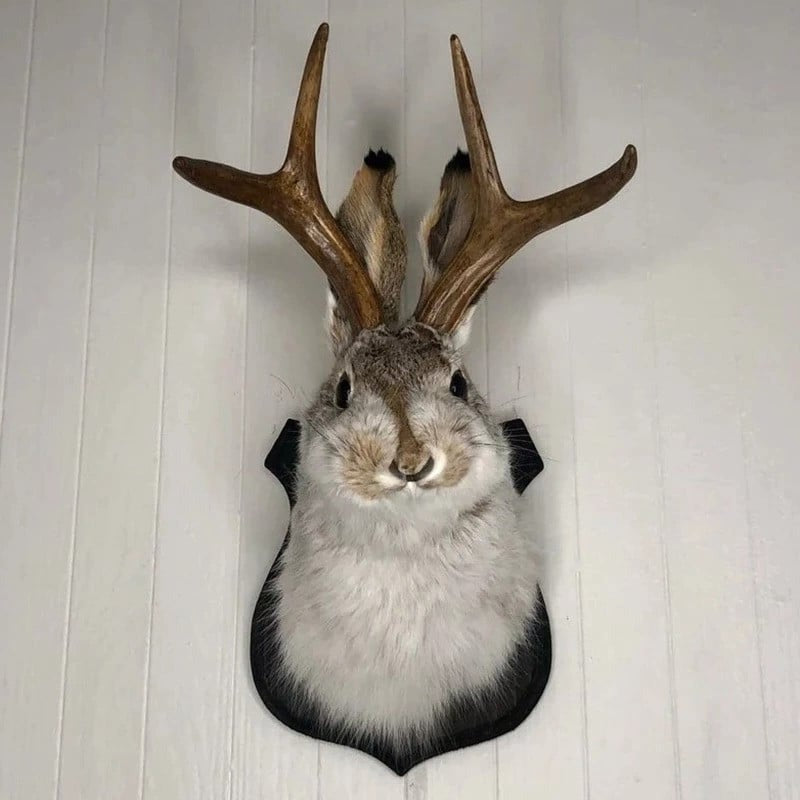 Jackalope Wall Decor | Effortlessly Functional Home Essential for Clean, Organised Living