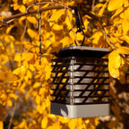 Solar LED Garden Lantern | Make Your Garden Beautiful, Functional & the Envy of the Neighbourhood