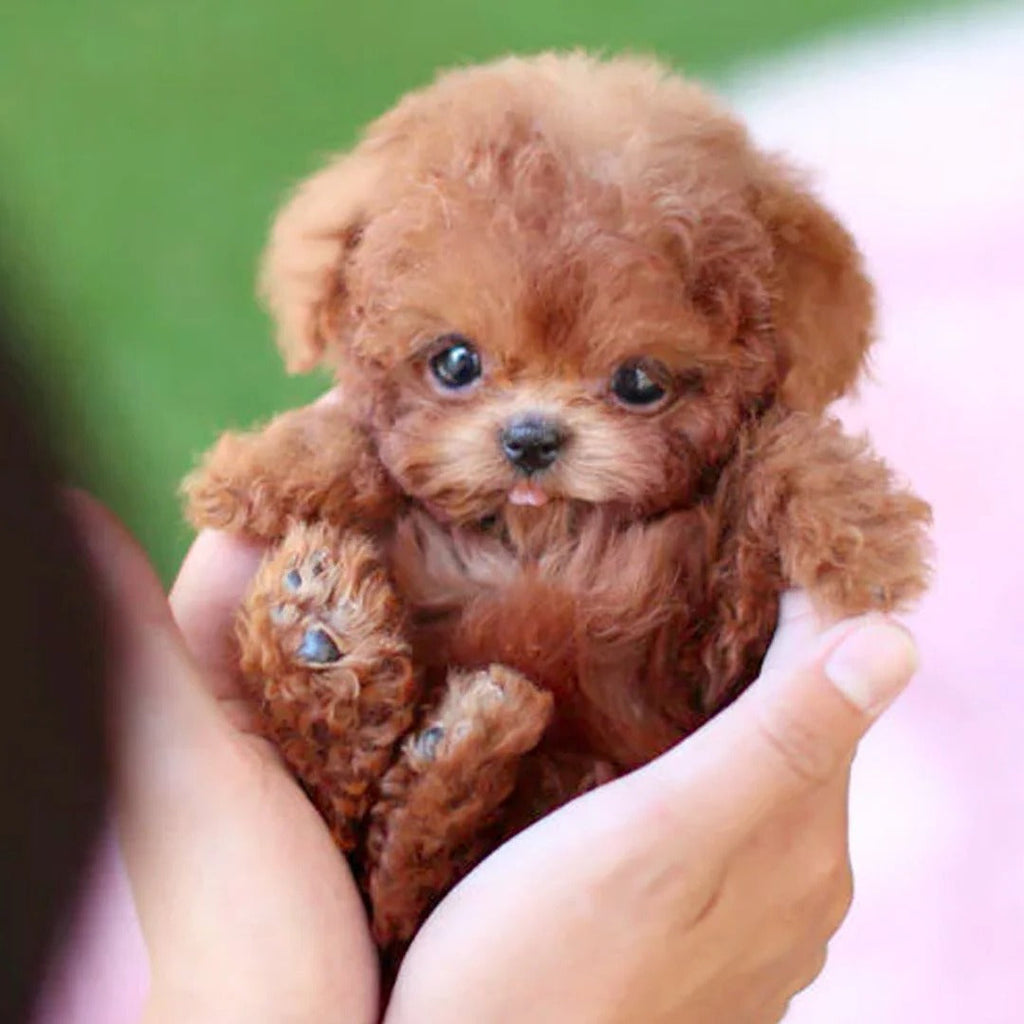 Realistic Robotic Puppy | Designed for Happy, Healthy, Well-Loved Pets of Every Breed