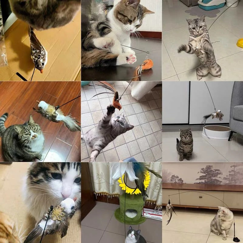 Bird Simulation Toy Set for Cats | Award-Winning Toy Design for Kids Who Love to Learn, Build & Play