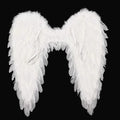 Feathered Angel Wings Costume | Compact, Stylish & Incredibly Useful — An Everyday Home Must-Have