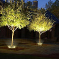 LED Tree Spotlight | Upgrade Your Home with This Thoughtfully Designed Everyday Essential