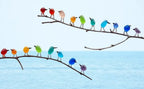 Sea Glass Birds Decor Coastal Love Notes | Compact, Stylish & Incredibly Useful — An Everyday Home Must-Have