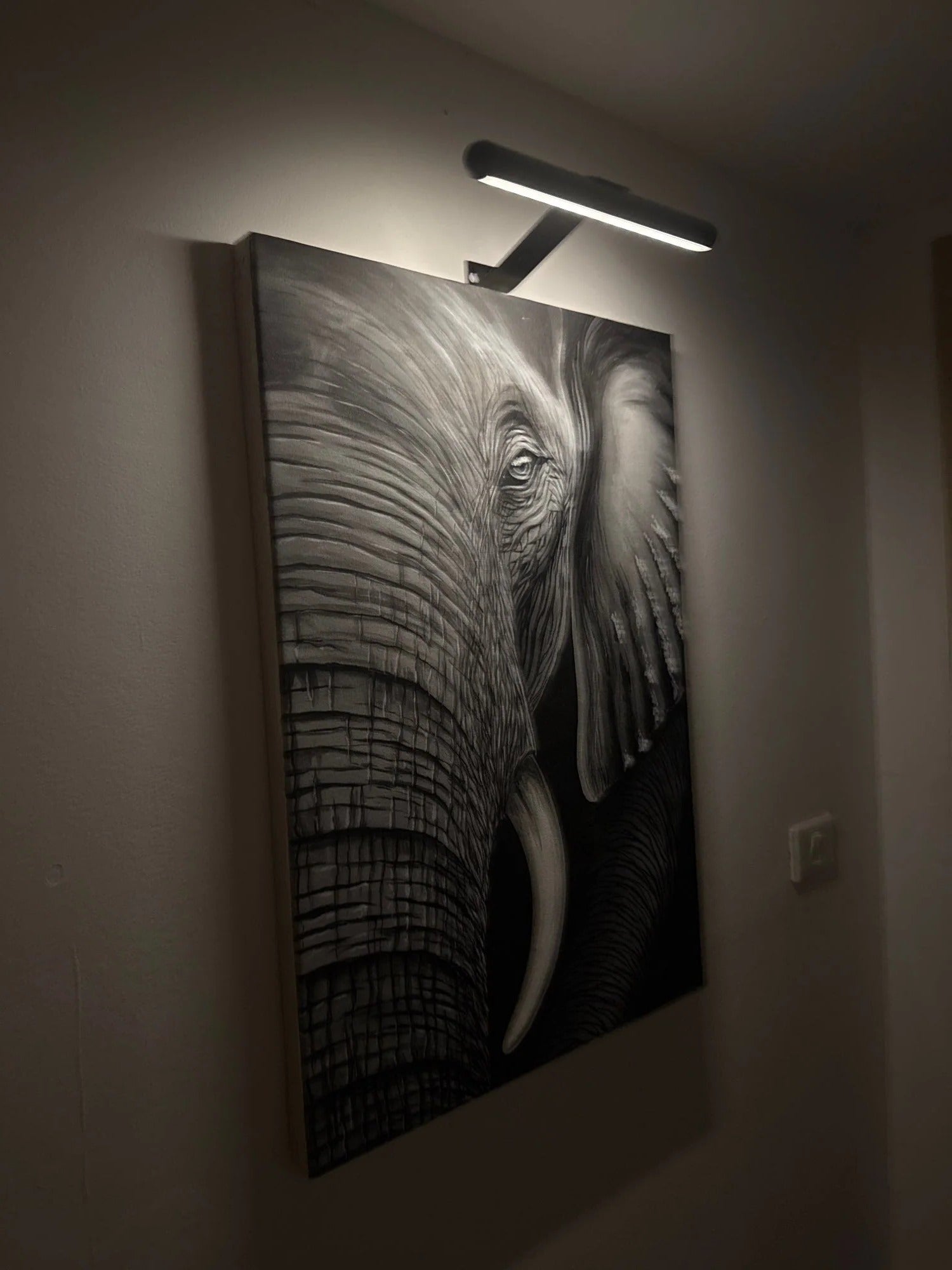 Wireless LED Picture Light | Compact, Stylish & Incredibly Useful — An Everyday Home Must-Have