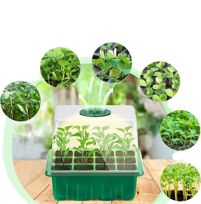 Household New Nursery Pot With Lamp — Plant Seed Starter Tray with Grow Light | Built for British Weather — Durable, Attractive Outdoor Design