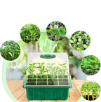 Household New Nursery Pot With Lamp — Plant Seed Starter Tray with Grow Light | Built for British Weather — Durable, Attractive Outdoor Design