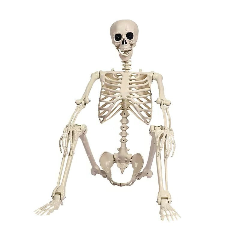 Life-Size Skeleton Decoration | Festive, Charming & Built to Create Magical, Lasting Seasonal Memories