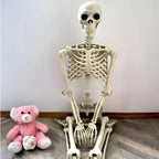 Life-Size Skeleton Decoration | Festive, Charming & Built to Create Magical, Lasting Seasonal Memories