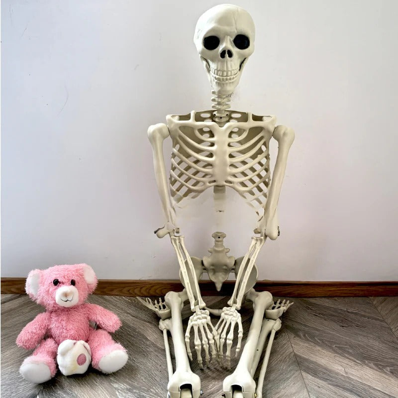 Life-Size Skeleton Decoration | Festive, Charming & Built to Create Magical, Lasting Seasonal Memories