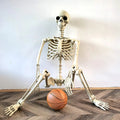 Life-Size Skeleton Decoration | Festive, Charming & Built to Create Magical, Lasting Seasonal Memories