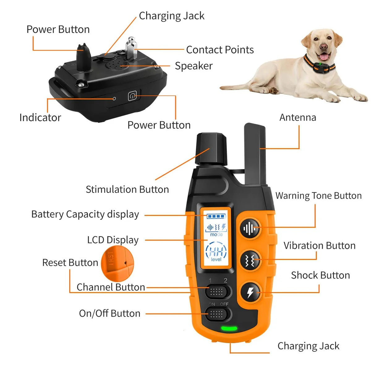 Remote Dog Training E-Collar | Premium Pet Care — Safe, Durable & Trusted by Pet Owners Everywhere