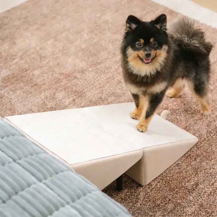 2-in-1 Convertible Dog Ramp and Step Stool | Durable Pet Accessory Built for Active, Playful, Energetic Pets