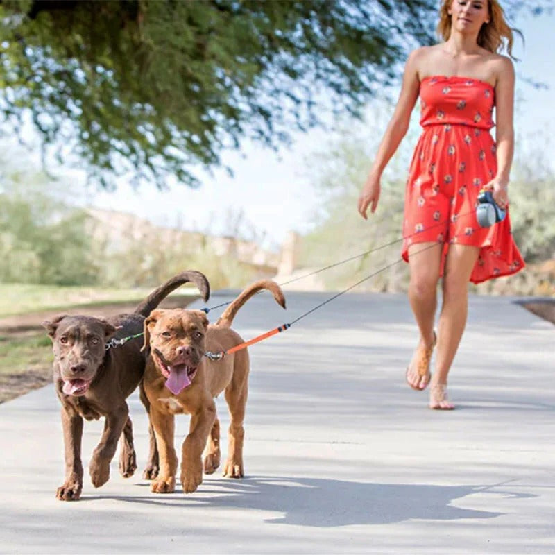 Dual Dog Leash with Flashlight & Waste Bag | Vet-Approved Pet Essential for Comfort, Safety & Wellbeing