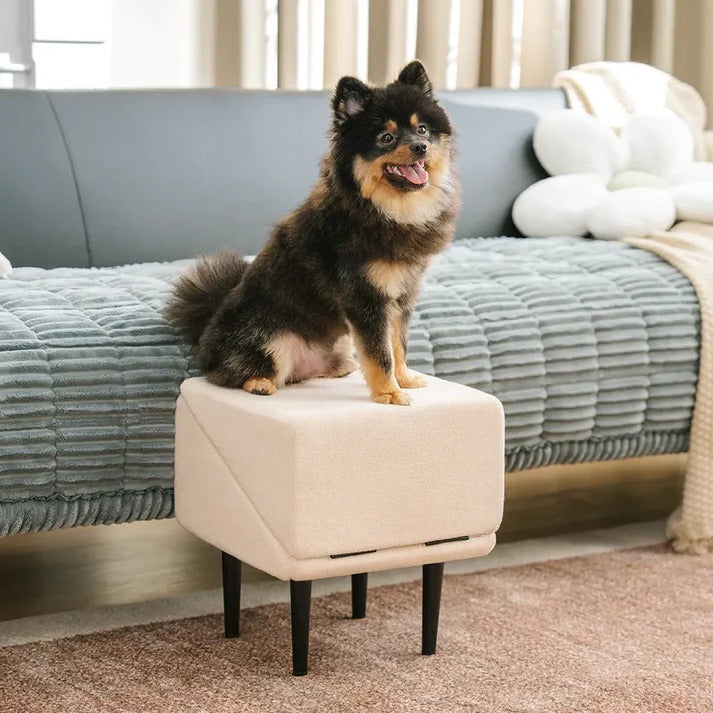 2-in-1 Convertible Dog Ramp and Step Stool | Durable Pet Accessory Built for Active, Playful, Energetic Pets