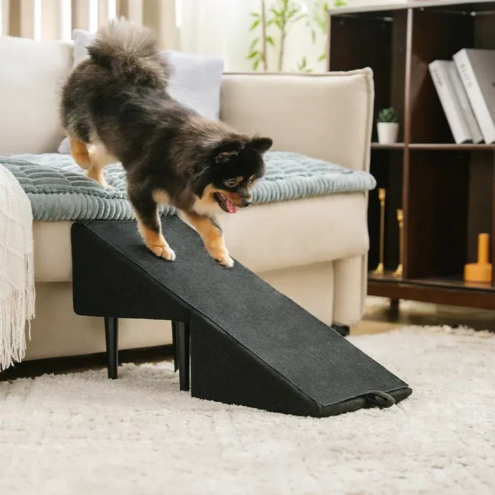 2-in-1 Convertible Dog Ramp and Step Stool | Durable Pet Accessory Built for Active, Playful, Energetic Pets