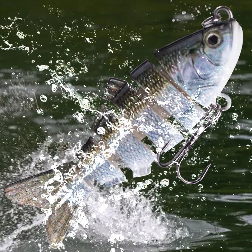 Swimming Lure | Stylish Home Essential That Transforms & Elevates Your Living Space