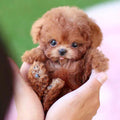 Robot Puppy Interactive Toy Realistic Puppy for Kids | Engaging Kids Toy That Sparks Creativity, Curiosity & Confidence