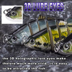 Swimming Lure | Stylish Home Essential That Transforms & Elevates Your Living Space