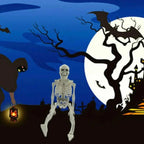 Poseable Skeleton — Creepy Halloween Skeleton Decorations | Bring the Magic of the Season into Your Home with This Beautiful Piece