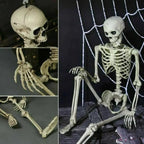 Poseable Skeleton — Creepy Halloween Skeleton Decorations | Bring the Magic of the Season into Your Home with This Beautiful Piece