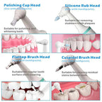 Plaque Remover for Teeth and Gums | Practical, Durable & Designed to Make Everyday Life Easier