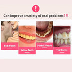 Plaque Remover for Teeth and Gums | Practical, Durable & Designed to Make Everyday Life Easier