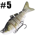 Swimming Lure | Stylish Home Essential That Transforms & Elevates Your Living Space